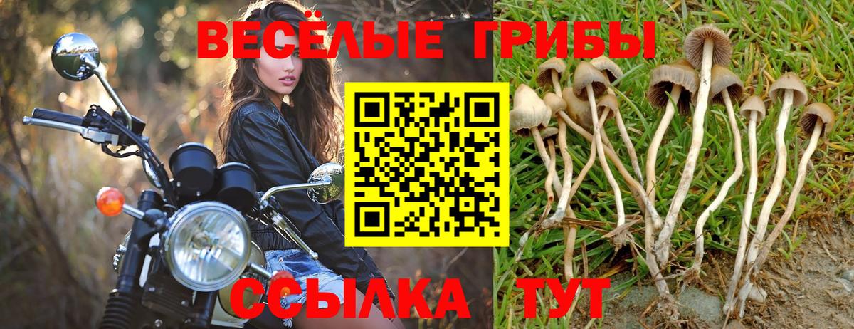 Астрахань  Псилоцибиновые грибы MAGIC MUSHROOMS  Галлюциногенные грибы Psilocybine cubensis  Вход с VPN 